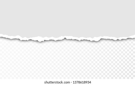 Torn paper with ripped edges and transparent space for you design. Paper texture with ripped edges and shadow. Horizontal banner template. Vector