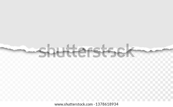 Torn paper with ripped edges and transparent space\
for you design. Paper texture with ripped edges and shadow.\
Horizontal banner template.\
Vector