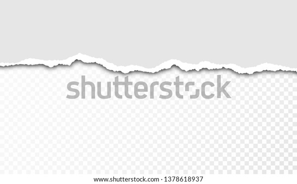 Torn paper with ripped edges and transparent space\
for you design. Paper texture with ripped edges and shadow.\
Horizontal banner template.\
Vector