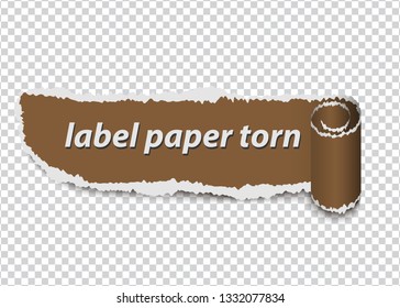 torn paper, ripped label on transparent background