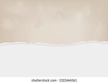 torn paper, ripped piece abstract for vector background
