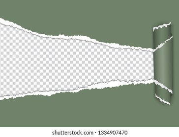 torn paper, ripped piece abstract for vector background