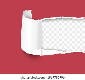 Torn paper. Ripped sheet with curl paper element isolated on transparent background realistic vector