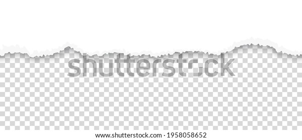 Torn\
paper. Ripped sheet edge on transparent background. Page with\
horizontal rough divider line. White tattered cardboard piece.\
Blank document fragment. Vector grunge border\
design