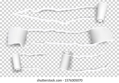 Torn paper. Ripped sheets, curl vector paper elements isolated on transparent background