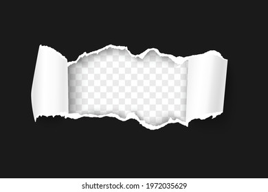 Torn paper with rolled edge on transparent background realistic vector illustration. Frame for your text or design. Black friday promo concept template