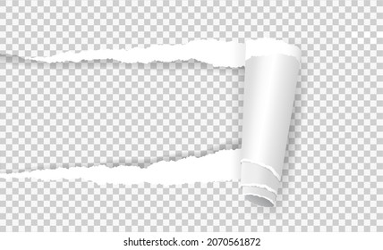 Torn paper with rolled edge, ripped notebook page sheet. Realistic rip out curled papers strip hole on transparent background vector template. Teared document with folded or curled piece
