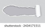Torn paper rolled strip over grey realistic vector illustration. Teared page. Destroyed document sheet 3d object on transparent background