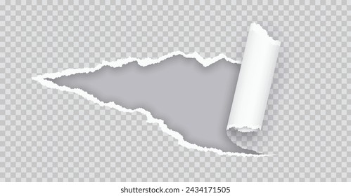 Torn paper rolled strip over grey realistic vector illustration. Teared page. Destroyed document sheet 3d object on transparent background