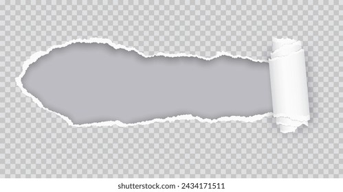 Torn paper rolled strip over grey realistic vector illustration. Teared page. Destroyed document sheet 3d object on transparent background