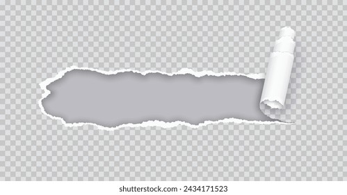 Torn paper rolled strip over grey realistic vector illustration. Teared page. Destroyed document sheet 3d object on transparent background