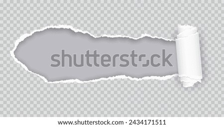 Torn paper rolled strip over grey realistic vector illustration. Teared page. Destroyed document sheet 3d object on transparent background