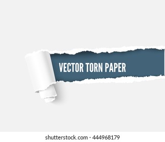 Torn paper with scroll and space for your message, realistic vector illustration. Torn paper with teared edges