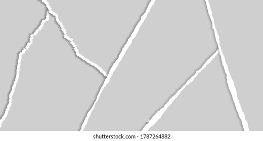 Torn Paper Set Background Design Element or Divider