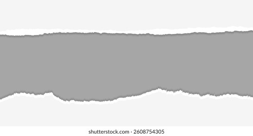 Torn Paper Set Background Design Element or Divider