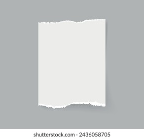 Torn paper sheet. Torn notebook or torn blank page vector illustration. Abstract realistic ornament or clip art decoration for banner backgrounds