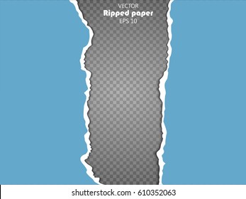 Torn paper sheet, ripped paper edges isolated on transparent background . Vector EPS10 illustration.