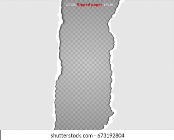 Torn paper sheet, ripped edges isolated on transparent background . Vector EPS10 illustration.