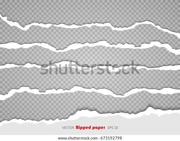 Torn paper sheet, ripped
paper edges isolated on transparent background . Vector EPS10
illustration.