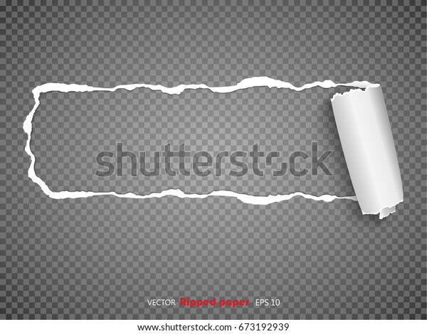 Torn Paper Sheet Ripped Edges Isolated Stock Vector (Royalty Free ...