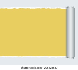 Torn Paper with space for text with gray background,Vector illustrator