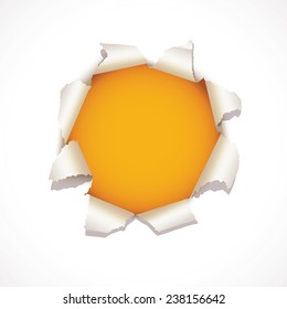 Torn Paper with space for text. Vector illustration. Isolated on white background