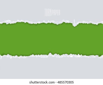 Torn Paper with space, vector. Graphic resources design template