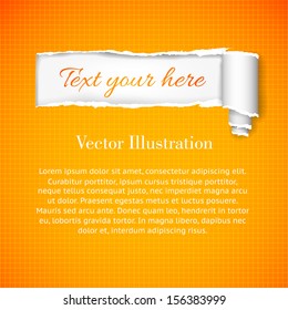 Torn paper with space for your message. Vector Illustration, eps10, contains transparencies