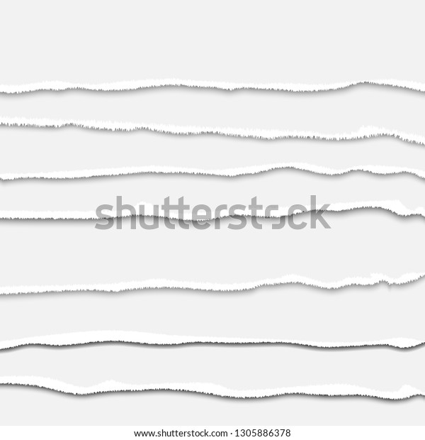 Torn\
paper strip collection realistic vector\
illustration