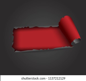 torn paper strip vector illustration
