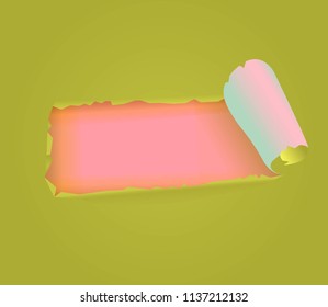 torn paper strip vector illustration