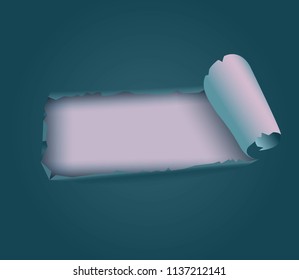 torn paper strip vector illustration