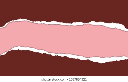 Torn paper with stripe of different color and space for text - vector