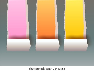 torn paper texture and place for your posts (vector)