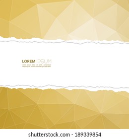 Torn paper  with triangles and polygon mesh. 