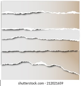 Torn paper vector