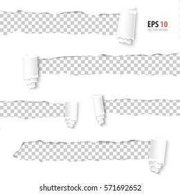 Torn paper vector. Collection of holes in white paper with transparent background. Torn sides with ripped paper edges. Torn side set of banners with space for text. Torn paper template, design