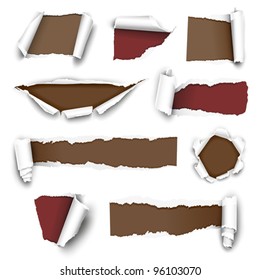 Torn paper. Vector illustration