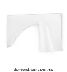 Torn paper. Vector illustration on white background.