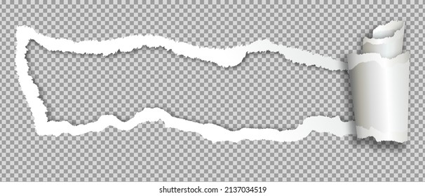 Papel roto. Ilustración vectorial realista.
