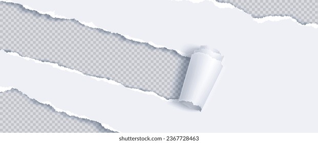 Torn paper white edge txture with curl border background. Rip strip page isolated template design. Empty and broken sheet piece with shadow. Header canvas scratch concept to reveal transparent note