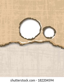 Torn paper for your background. Vector illustration