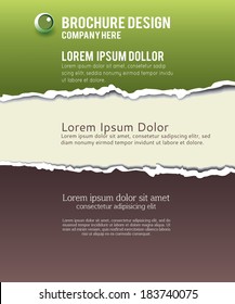 Torn paper for your background. Vector illustration