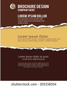 Torn paper for your background. Vector illustration