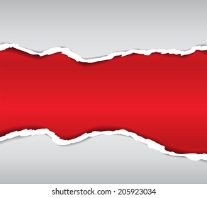 Torn paper for your background. Vector illustration