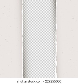 Torn papers background. Vector, EPS10