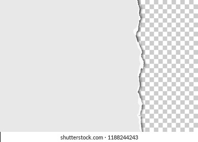 Torn part of sheet of white paper from the up to the down with transparent background. Vector paper mockup.