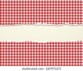 Torn picnic tablecloth. Conceptual vector illustration. Template for banner, poster, outdoor advertising design