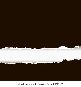 torn piece of black paper. White background