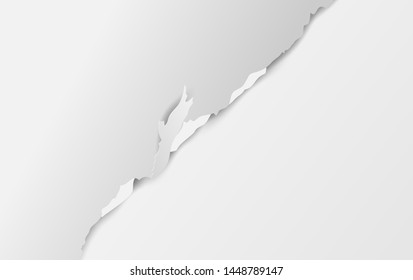 torn piece of paper,  art and craft style on white background. Strips with soft light shadow on squared wall.Creative design digital minimal abstract idea concept.Vector illustration.EPS10